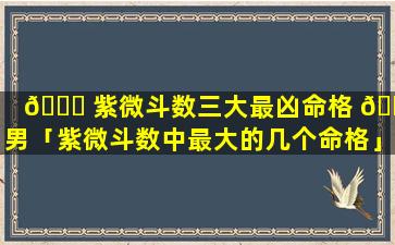 🐕 紫微斗数三大最凶命格 🐧 男「紫微斗数中最大的几个命格」